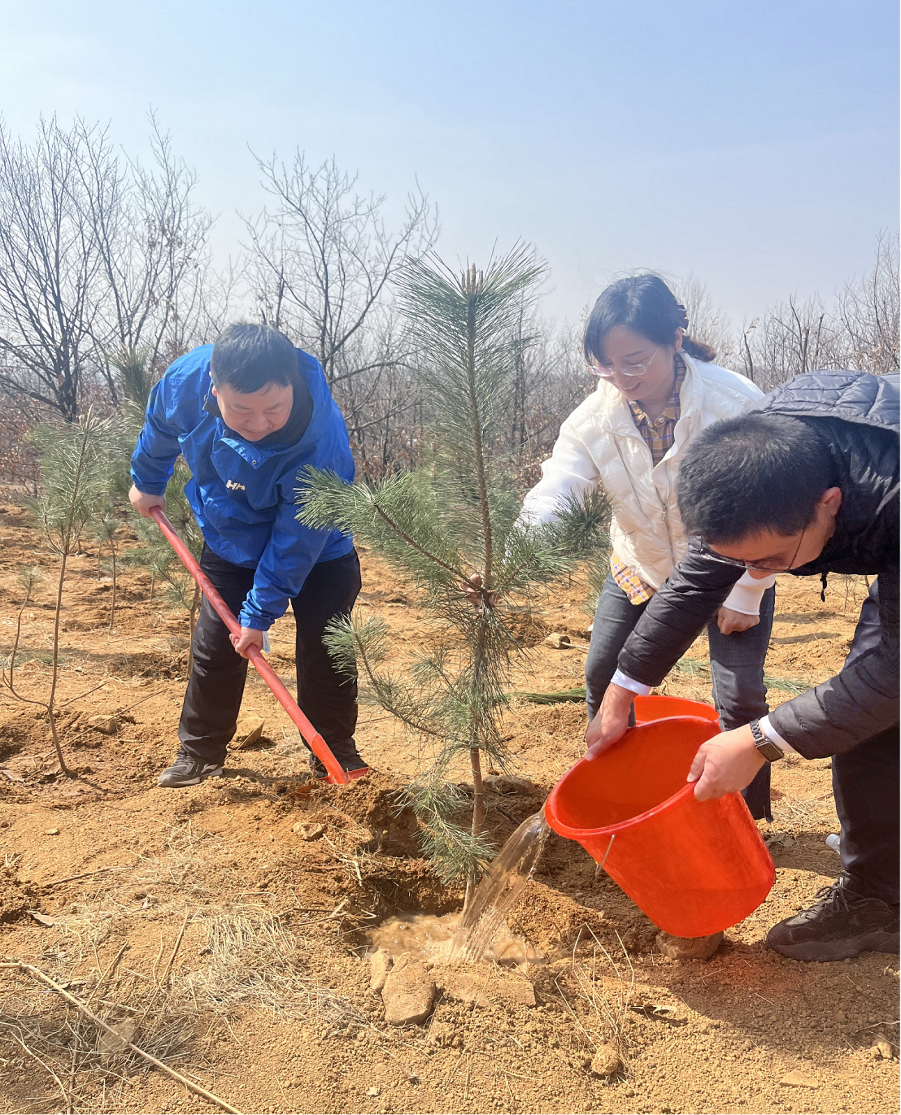 圖片8.png 圖片8.png